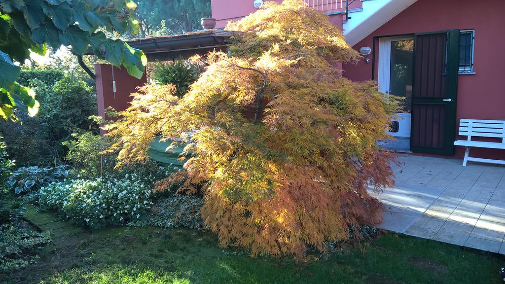 La Collina Since 2008 No Smoking B&B Βαρέζε Εξωτερικό φωτογραφία
